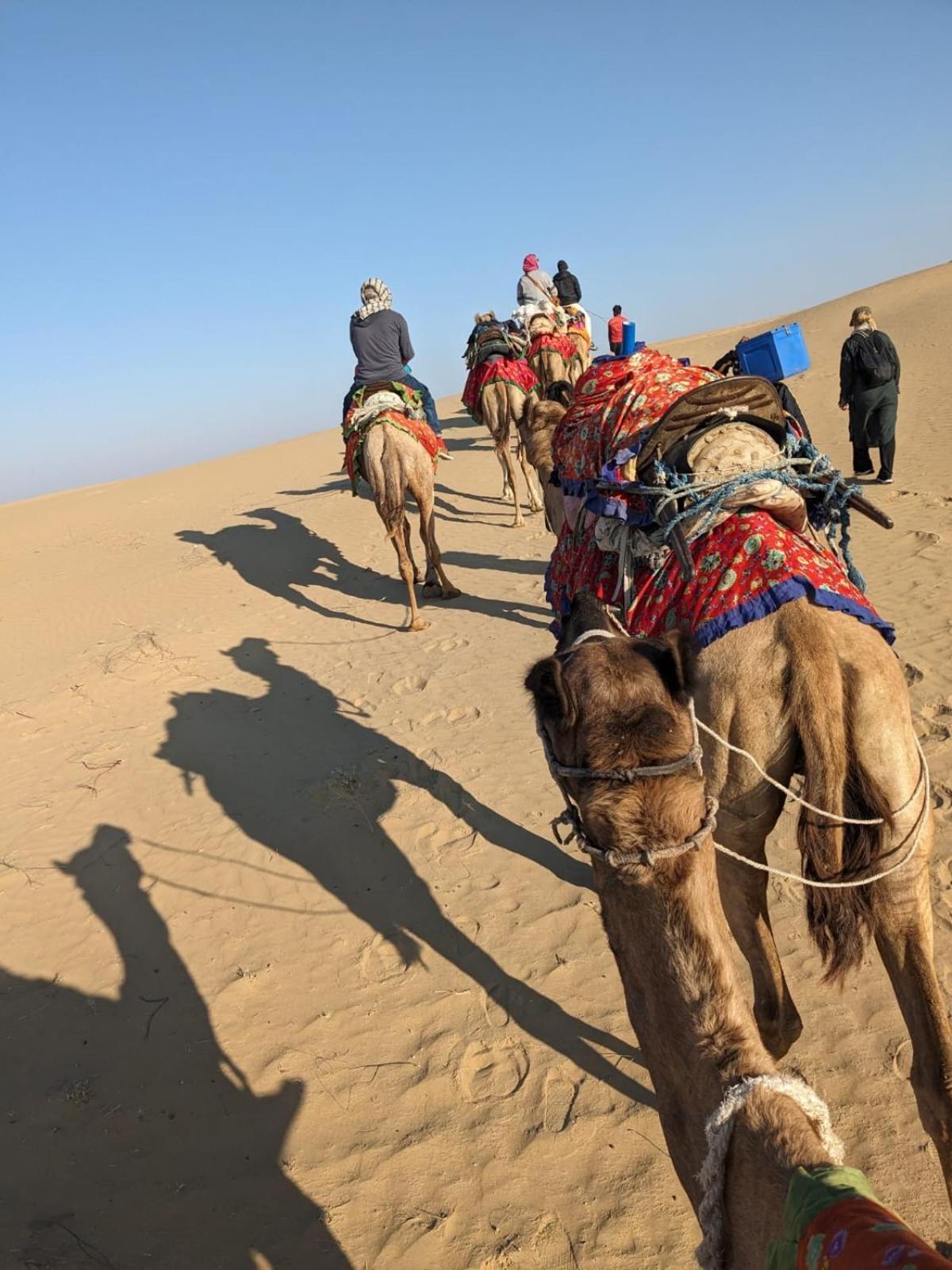 Hostel Marigold Home Stay Jaisalmer Εξωτερικό φωτογραφία
